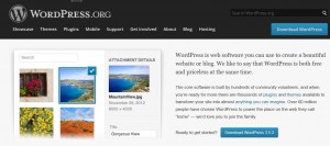 WordPress2