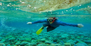 snorkeler