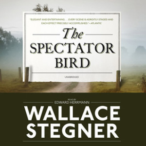 spectator-bird